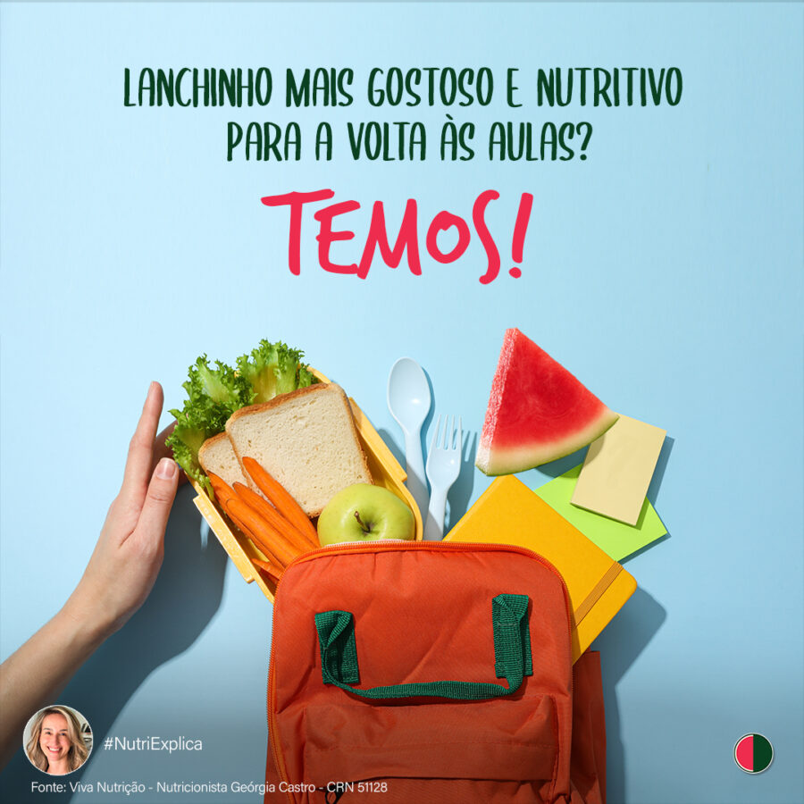 Férias acabando? Prepare lanches deliciosos e nutritivos para a volta às aulas!