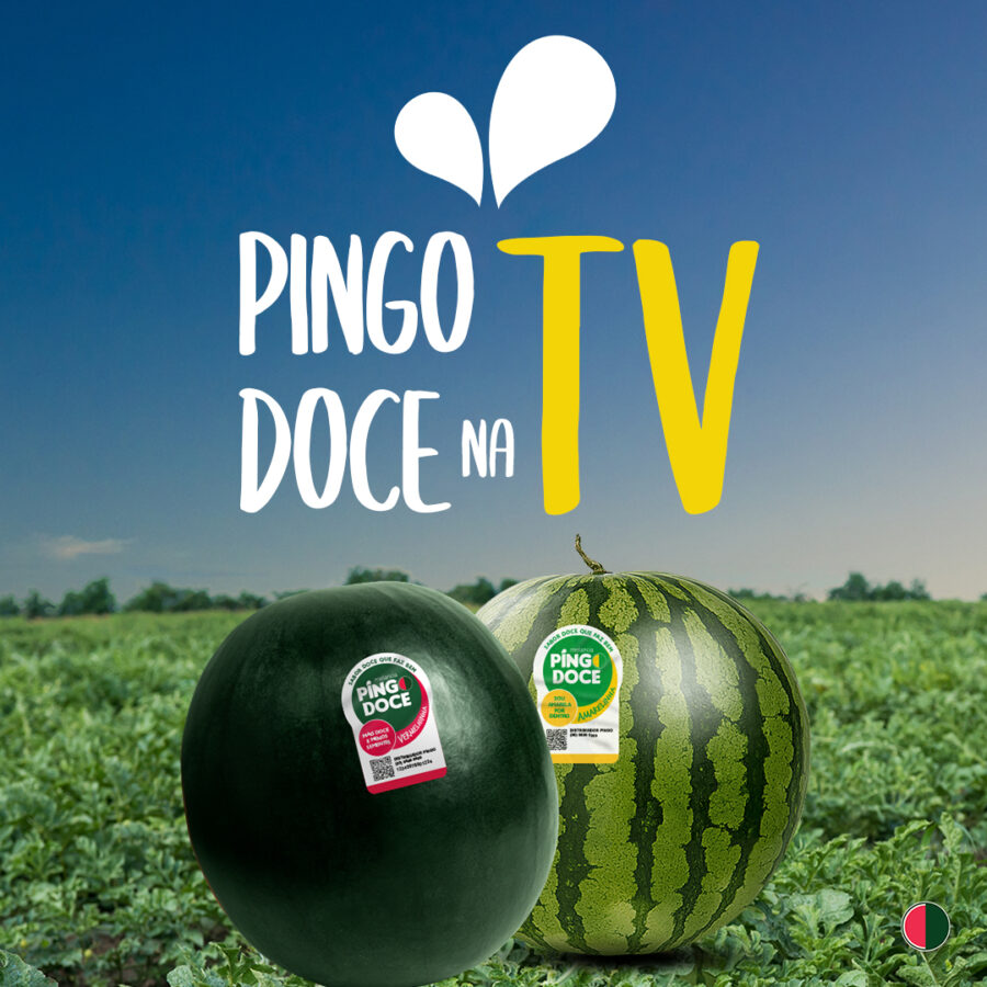 Pingo Doce no Jornal do Campo