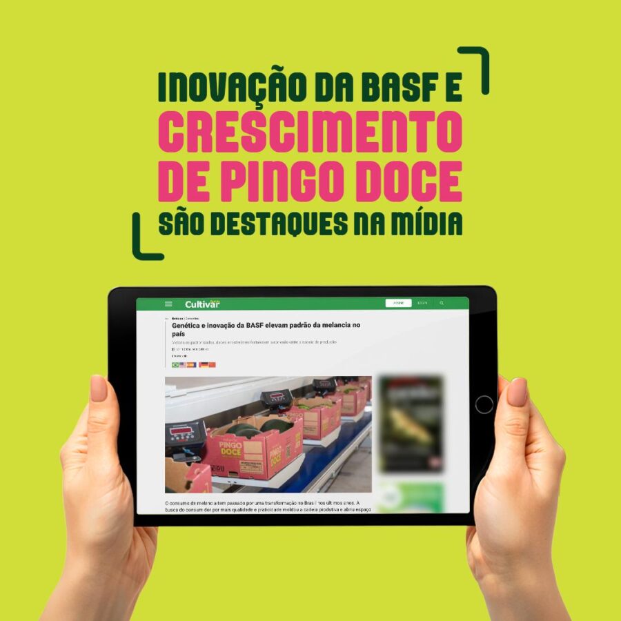 Pingo Doce se consolida como padrão de qualidade